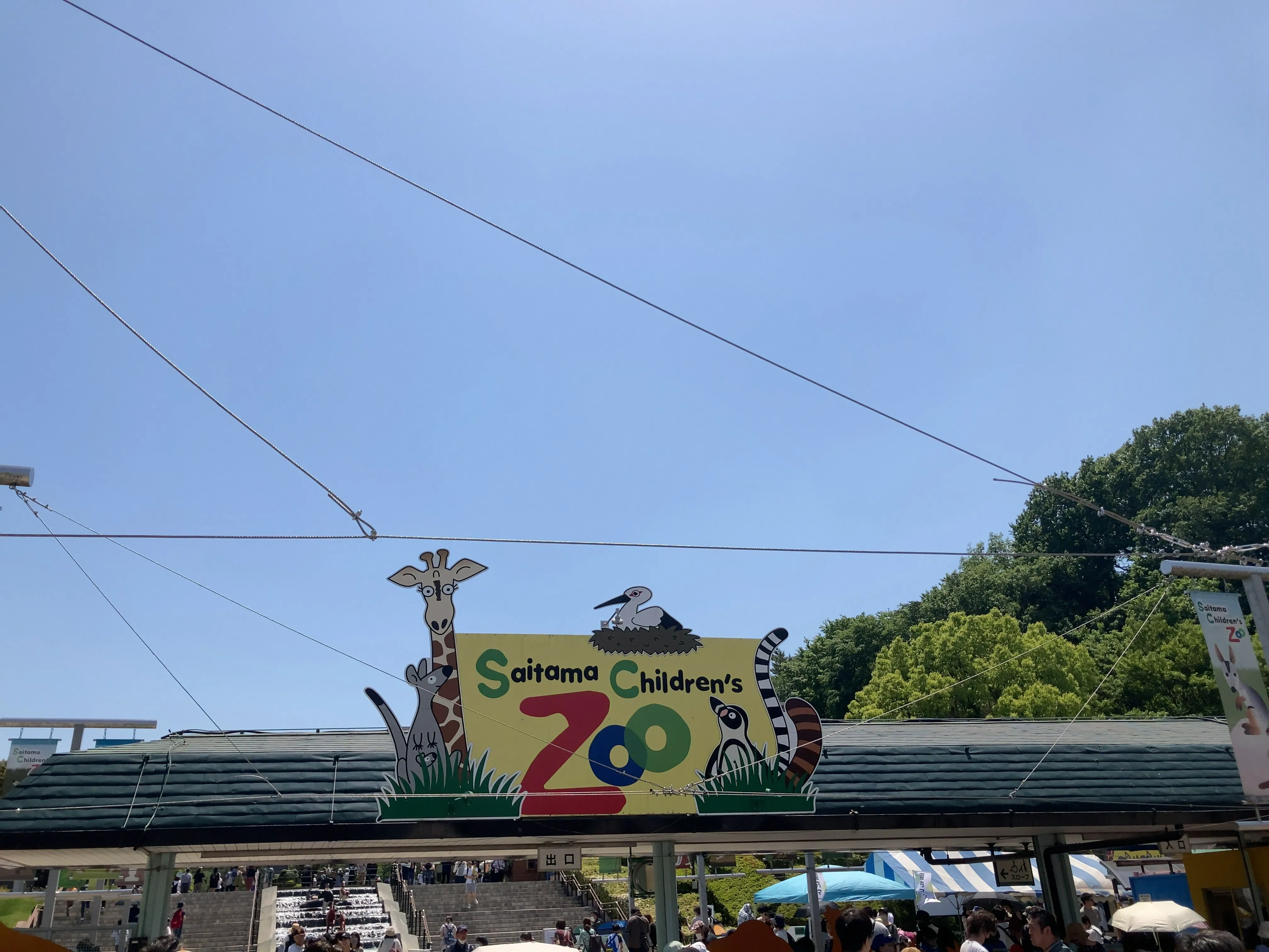 Featured image of the post